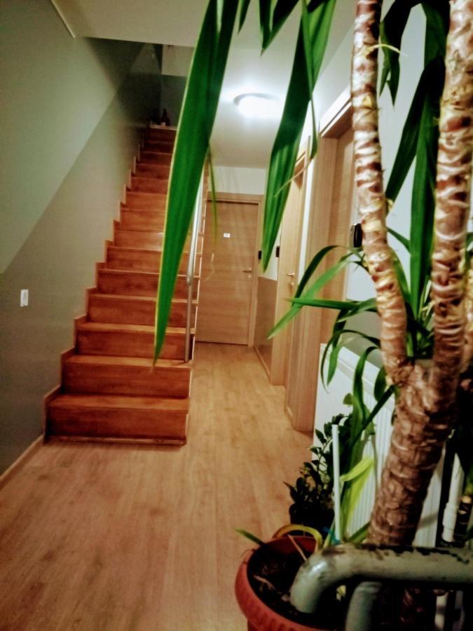 Central Guesthouse (Adults Only) Bucureşti Ngoại thất bức ảnh
